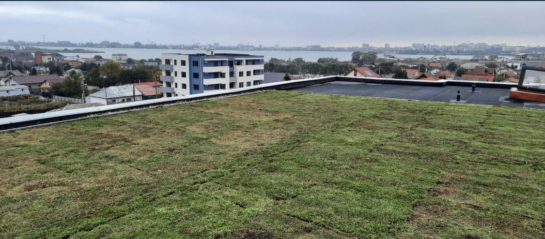 Ap 2 cam 73 mp - Poză 4