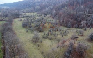 Teren 36000 m2, intravilan+partial extravilan, cadastru, Draganeasa PH - Poză 1
