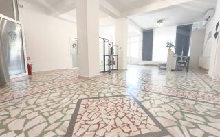 SPATIU COMERCIAL STRADAL | BLD MAMAIA | EXPUNERE EXCELENTA - Poză 3