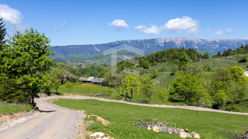 Fundata-Teren de vanzare 15,771 mp intravilan+extravilan+padure - Poză 13