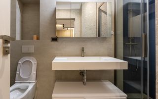 2 camere,gradina 20mp,Gheorgheni zona FSEGA, Iulius Mall, Pet Friendly - Poză 7