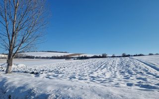 FĂRĂ COMISION | TEREN 6695 MP ÎN ȘURA MARE - Poză 3