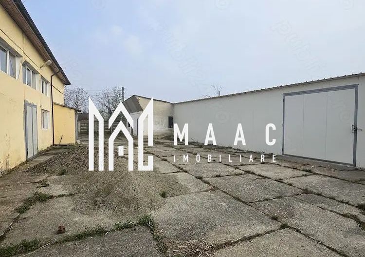 Hala I Spatiu Comercial I Nocrich - Poză 2