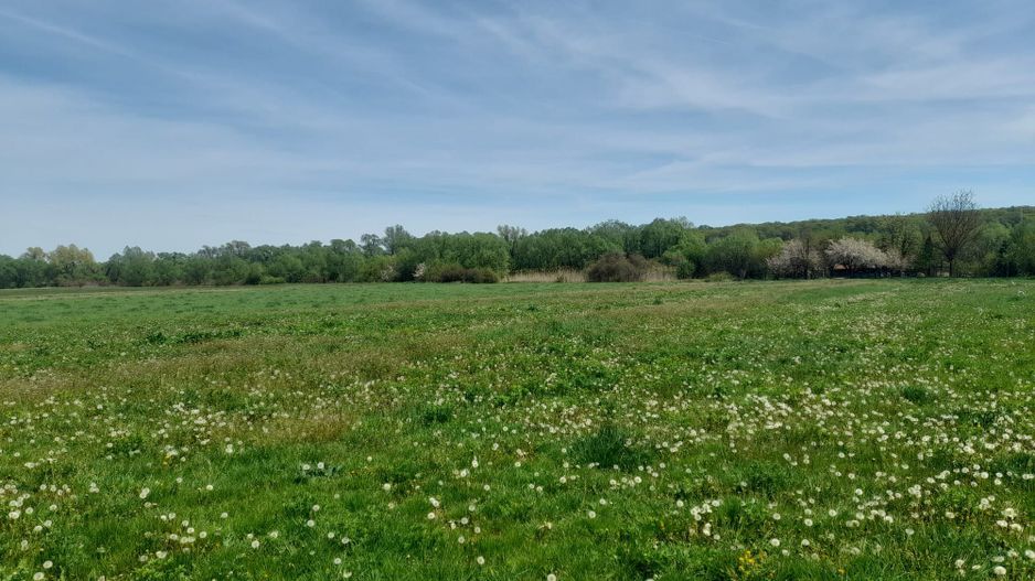 Teren de vanzare intravilan 5000 m2 Cisnadie zona SOMA - Poză 1