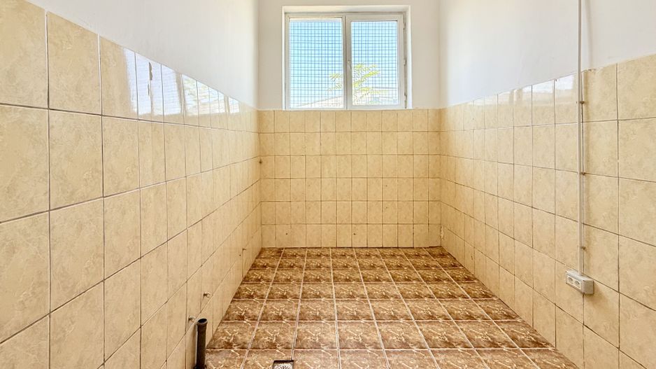 Hală industrială de producție/depozitare – Jilava, Str. Gării, 1797 mp - Poză 9