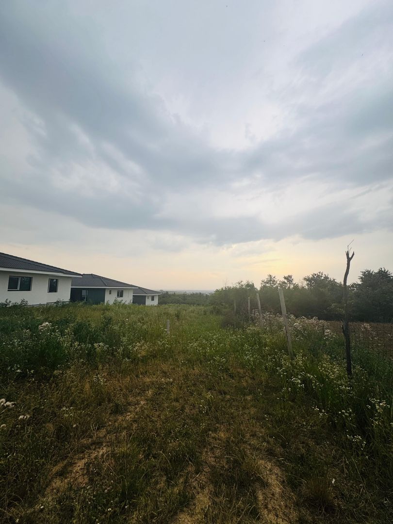 Teren intravilan de vânzare Paleu, zona Piersicilor langa padure - Poză 3