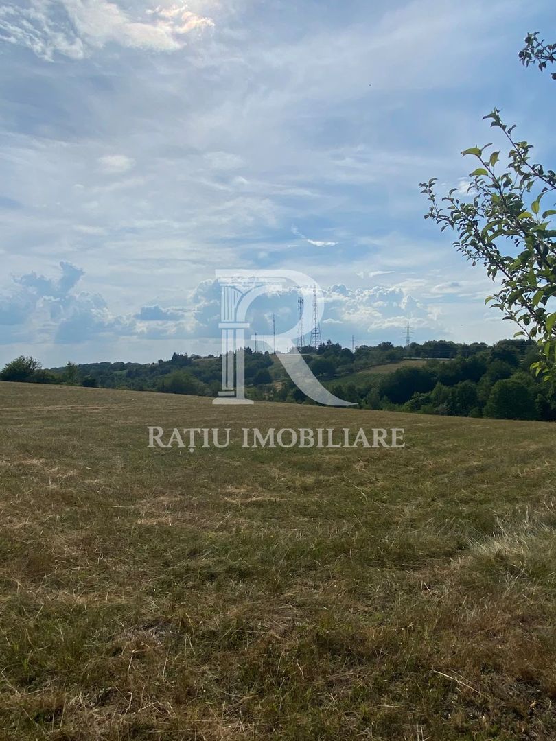 Teren Intravilan | 17.500 mp | Șinteu | Bihor - Poză 2