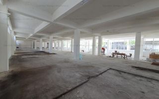 Hala Depozitare de Inchiriat Pitesti - Poză 10
