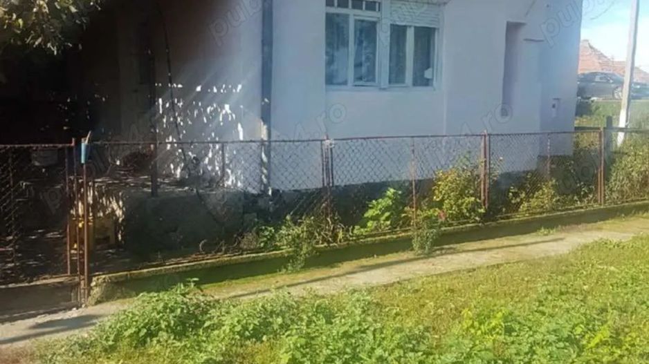 Vand casa la tara - Poză 1