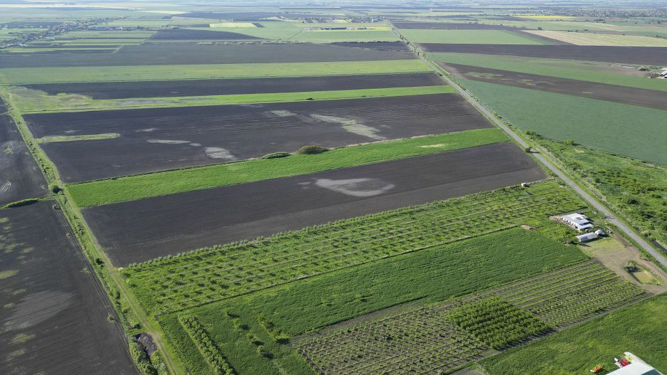 Livadă de nuci și pruni 2.4ha în Variașul Mare - Poză 9