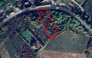 Teren intravilan de vânzare – Zonă premium Lacul Cinciș