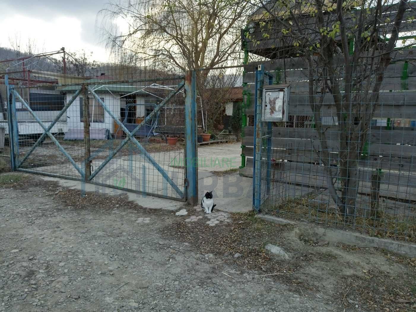 Teren intravilan cu hală și căsuță de vacanță, Vladiceni, Iași - Poză 3
