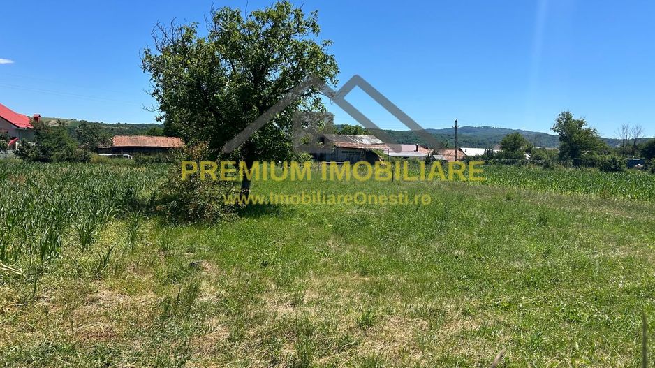 Teren intravilan de vânzare – Cașin, județul Bacău - Poză 1