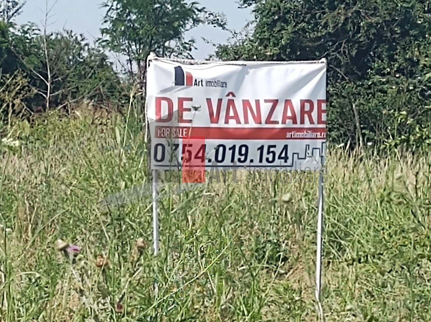 Vânzare 2 loturi de casă Dobreni Giurgiu - Poză 1