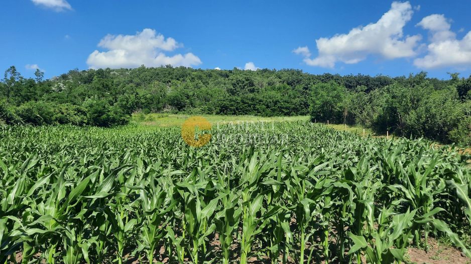 Casă / Vilă cu 2 camere de vânzare în Totoesti - Poză 14