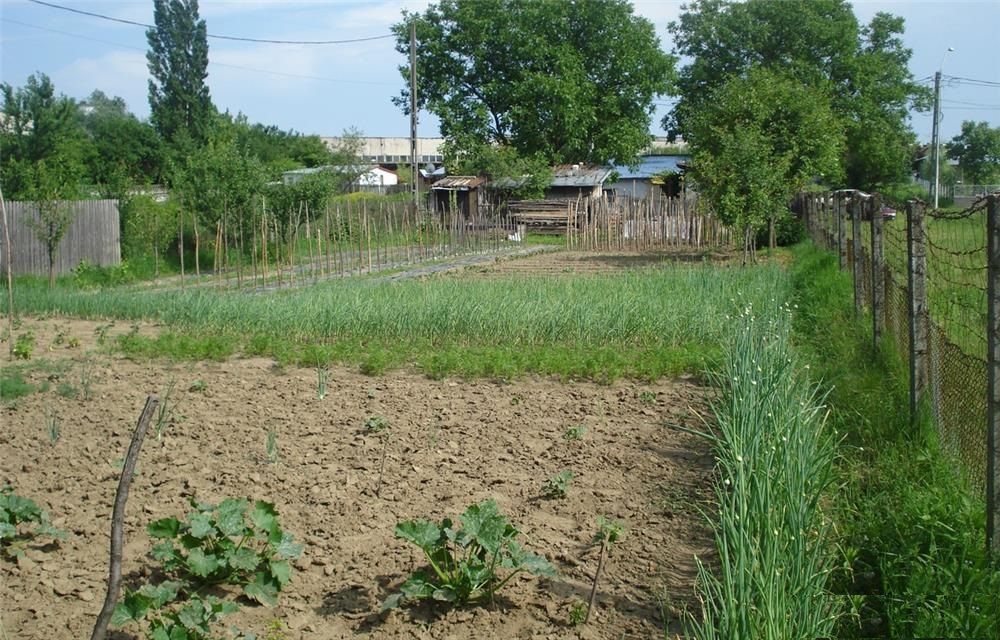 AZURA Imobiliare - Teren Auchan Gavana si Casa Bonus - Poză 7