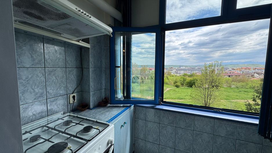 Apartament 2 camere decomandat, etaj intermediar, Cartier Vasile Aaron - Poză 12