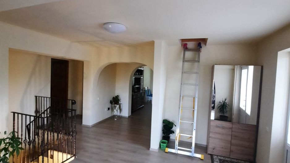 CASA DE 263MP, TEREN DE 8142M2 IN OARDA DE SUS LA 350.000, NEGOCIABIL - Poză 4