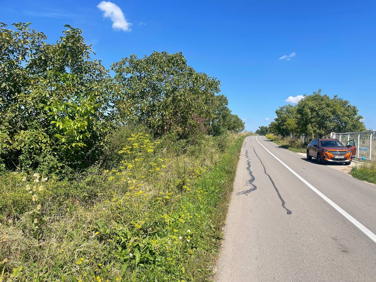 Teren Intravilan | Padureni | Investiție | 27000 mp - Poză 2