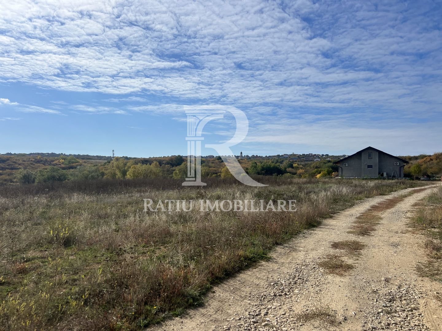 Teren intravilan 3961 MP | Paleu | Bihor - Poză 7