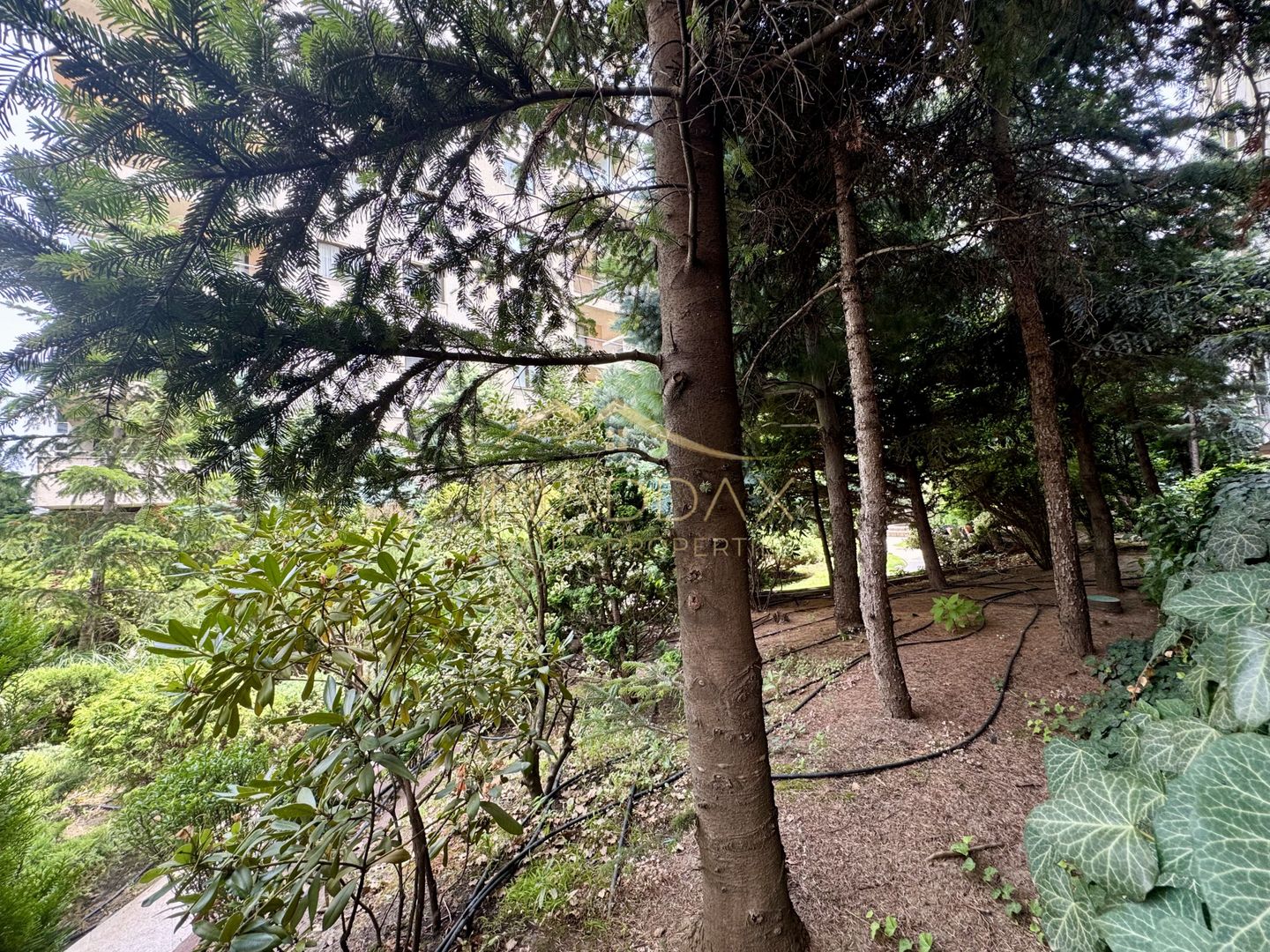 Apartament cu 5 camere parter + Gradina 100mp // Herastrau - Aviatiei - Poză 40