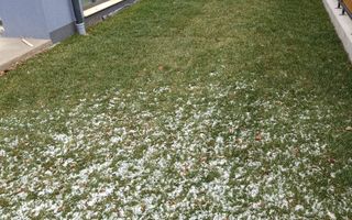 Vand duplex Dambu Rotund, nou 2024 - Poză 9