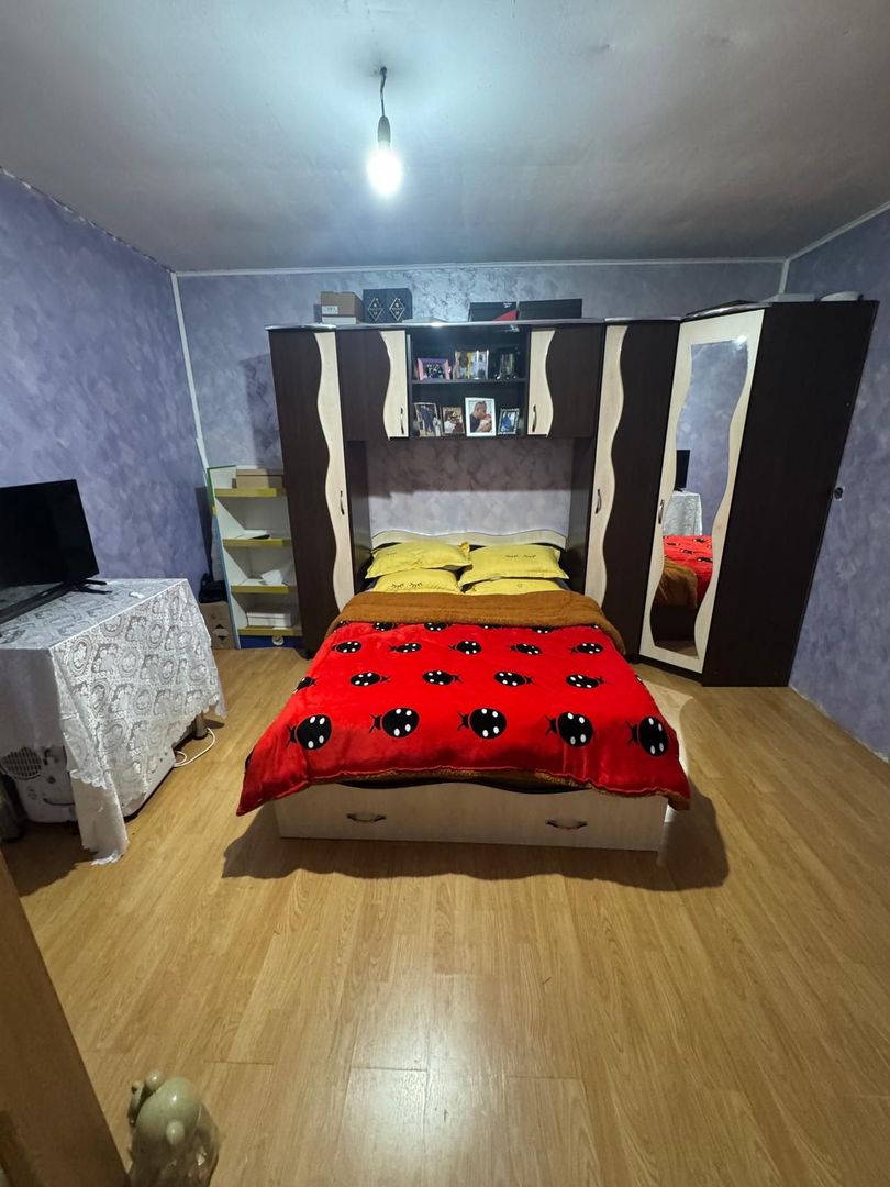 Casă P+M pe strada Tineretului - Poză 4