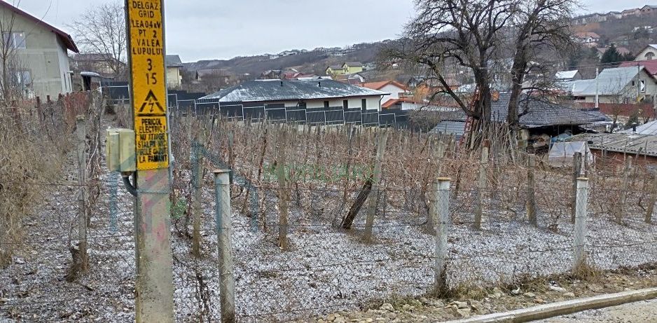 Teren intravilan Valea Lupului 842mp - Poză 5