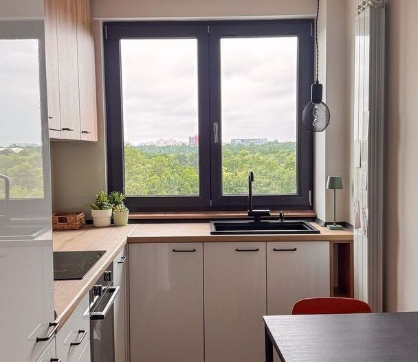 Apartament Luminos cu vedere panoramica la Parcul Tineretului. - Poză 8