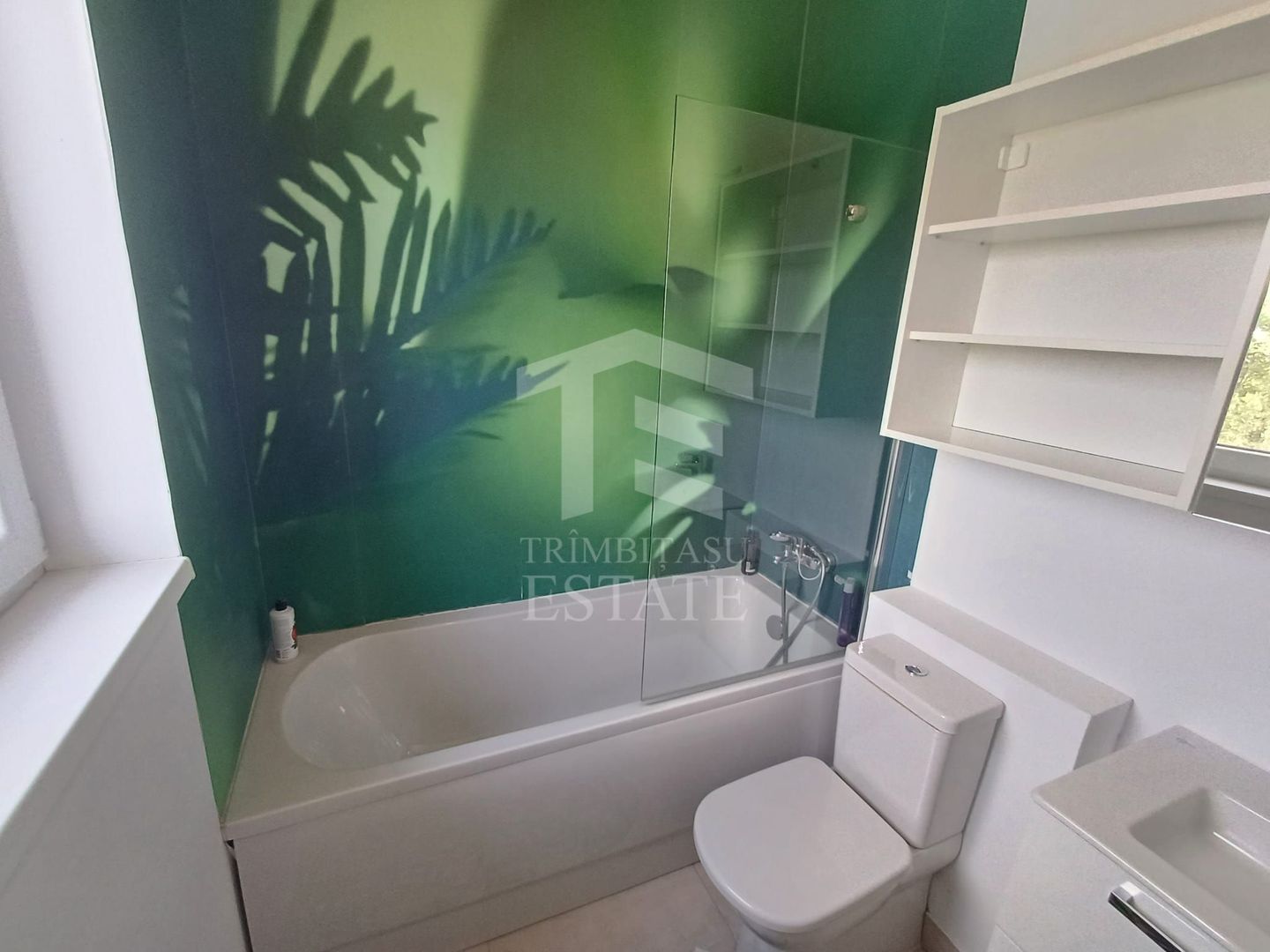 Apartament 3 camere Central District Fizicienilor Camil Ressu I.O.R. - Poză 16