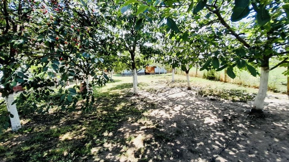 Casă + 2870 mp teren – oportunitate Ciocaia - Poză 5