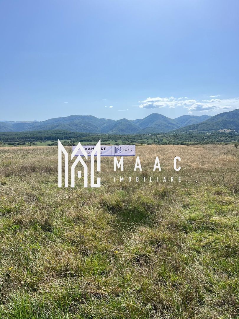 Teren extravilan | 7.800 mp | Saliste - Poză 6