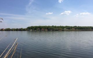 Teren Silistea Snagovului | Deschidere la Lac - Poză 4