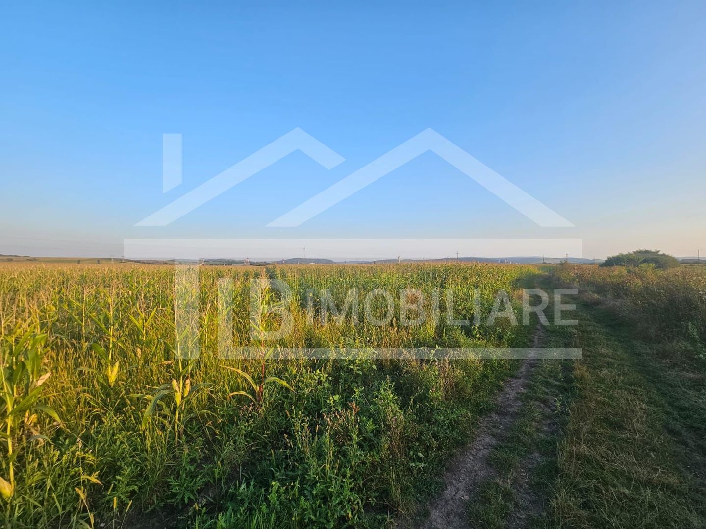 Teren intravilan, 1476 mp, Zona Ungheni - Poză 4