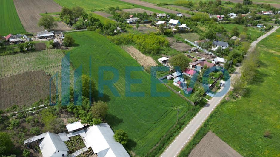 Teren de vânzare, Sat Valea Mare, Com. Roșiori, Bacău - Poză 5