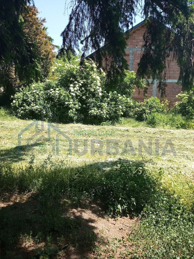Teren intravilan 11.000 mp și casă 200 mp – Târgu Frumos - Poză 1