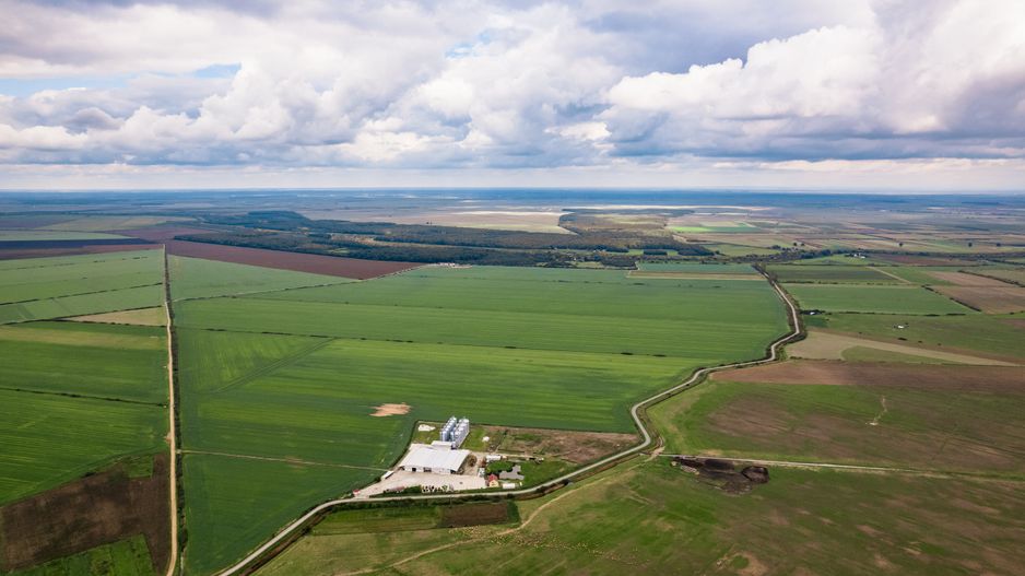 Teren 13500000 mp în Socodor - Poză 9