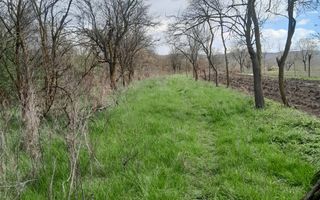 Teren de vanzare in Vaidei - Poză 8