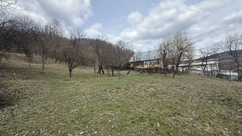 Teren 6040 mp la baza pădurii deschidere 40 ml - Poză 5