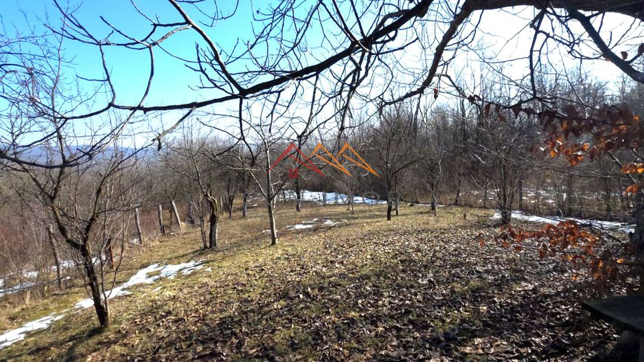 CASĂ INDIVIDUALĂ CU LIVADĂ | 2.195 MP TEREN | POIANA CÂMPINA - Poză 22