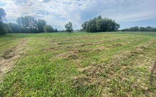 Teren Extravilan | 23 Ari | Satu Mare - Poză 2