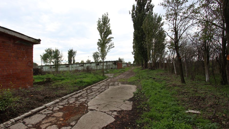 Vanzare hale Mosnita Noua-fosta Ferma 7 - Poză 42