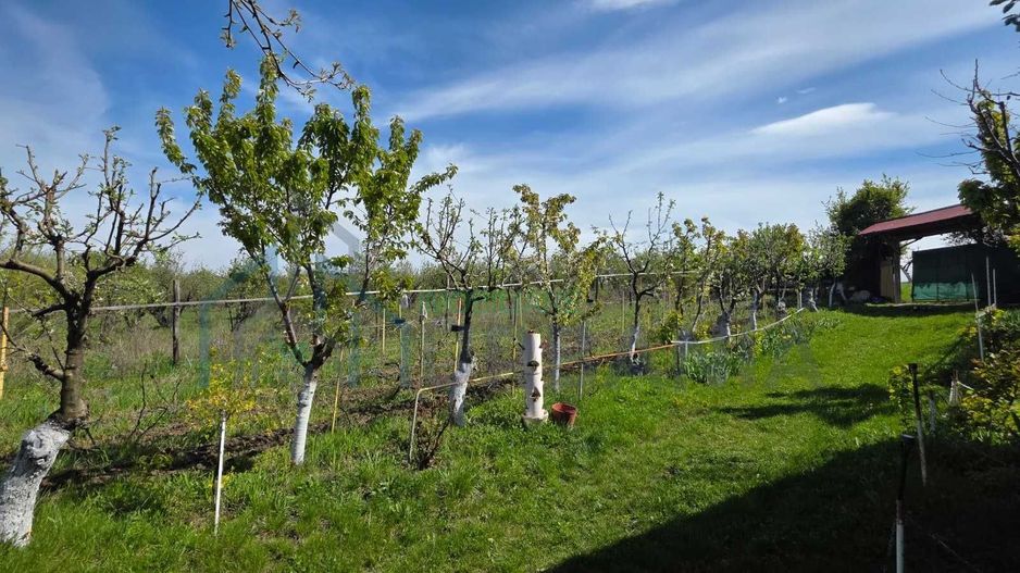 Teren intravilan 1500 mp, Tomesti – Chicerea, 10 km de Iasi, utilitati la limita - Poză 4