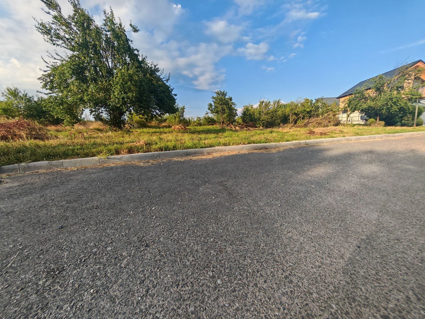 Teren intravilan 1.600 mp Mioveni – Zona Pruni - Poză 1