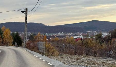 Teren intravilan | 8 ari