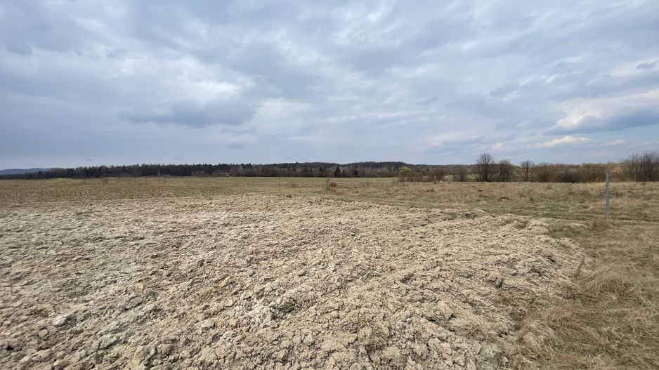 TEREN EXTRAVILAN | 23 ARI | HORODNIC DE SUS - Poză 6