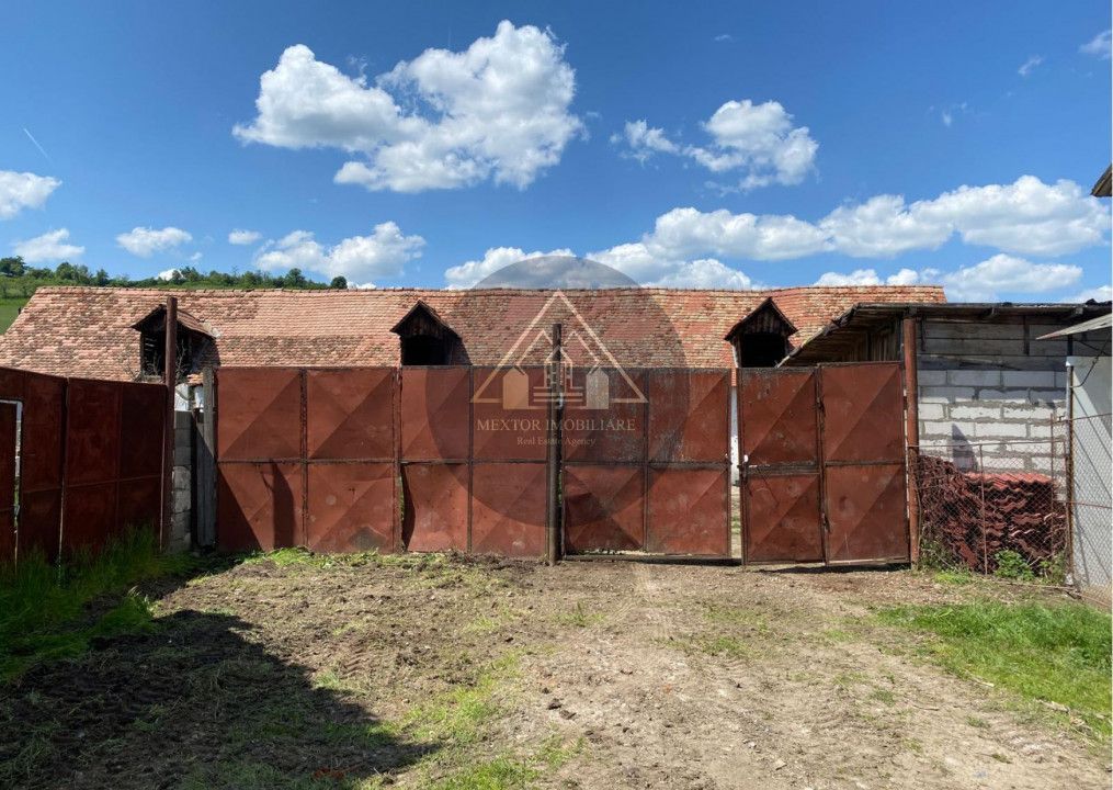 Fermă de vanzare - Poză 3