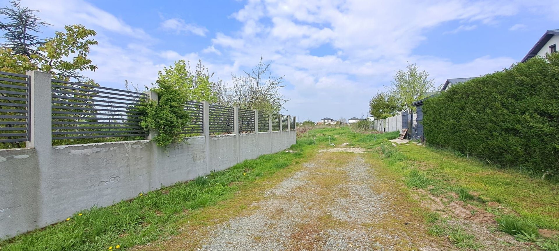 DRAGOMIRESTI DEAL - TEREN 2500 mp, utilitati, STB, pretabil investitie - Poză 2