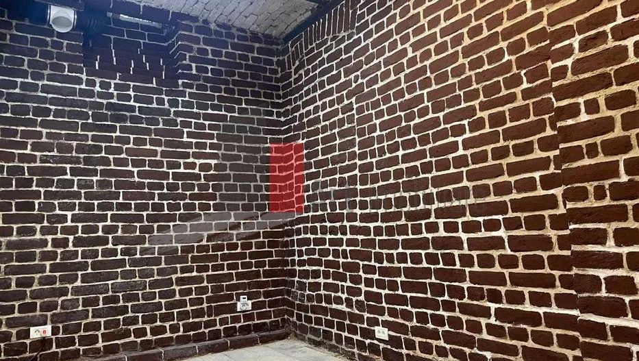 Spatiu comercial de inchiriat Universitate/Rosetti - Poză 8