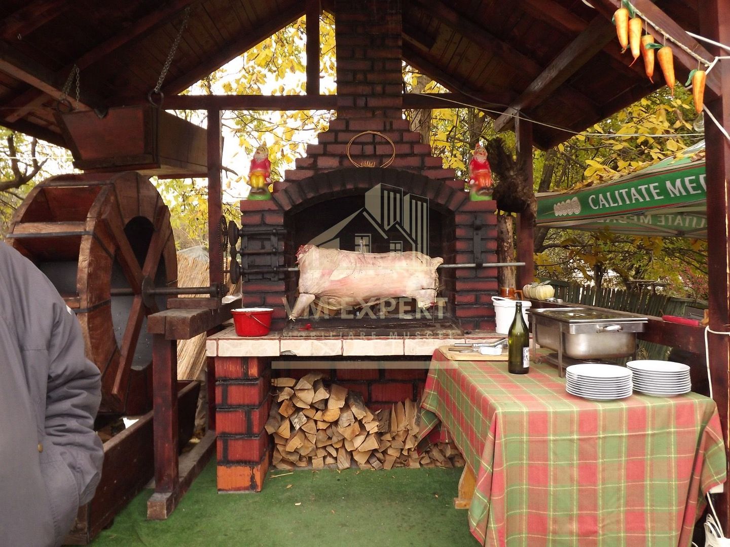 VILA - PENSIUNE CU RESTAURANT + SI TEREN 6406 MP, VALEA MARE PRAVAT, - Poză 19